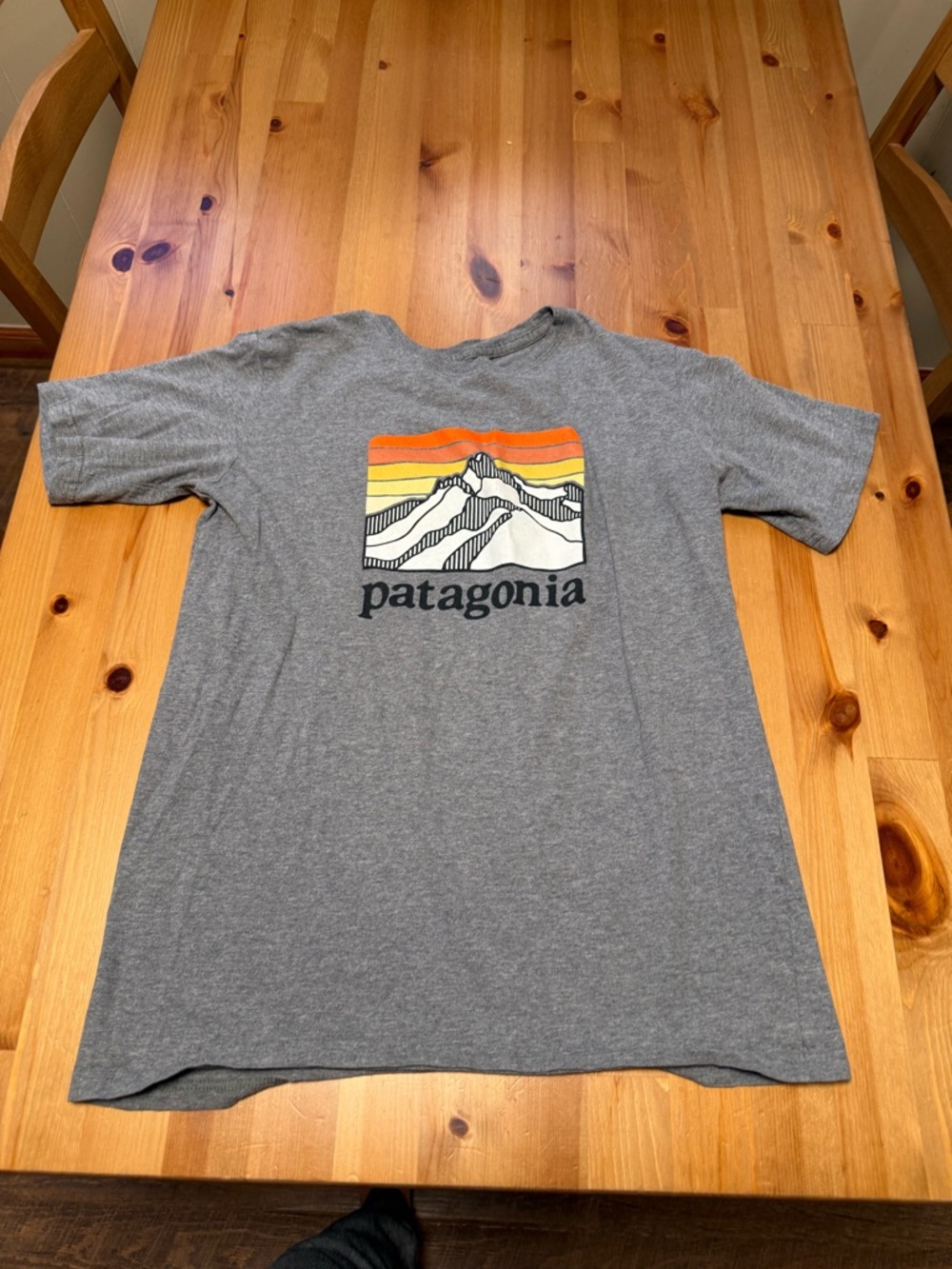 Patagonia Gray Tee with Yellow & Orange Graphic